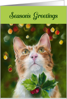 Seasons Greetings...