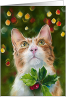 Any Occasion Ginger Cat Holly and Holiday Lights Feline Art Blank card