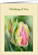 Thinking of You Pretty Tulip Yellow and Pink Personalized Blank Inside card
