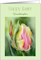 For Granddaughter Easter Pretty Tulip Yellow and Pink Personalized card