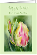 From Across the Miles Easter Pretty Tulip Yellow and Pink Custom card