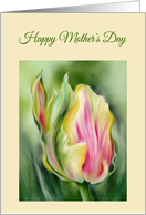 Happy Mothers Day Pretty Tulip Yellow and Pink Flower card
