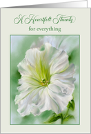 Thank You for Everything White Petunia Flower Pastel Custom card