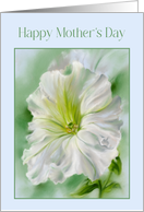 Happy Mothers Day White Petunia Flower card