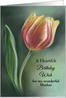For Mother Red and Yellow Tulip Birthday Custom card