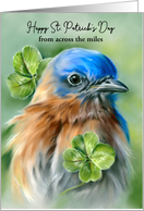 St Patricks Day Across the Miles Bluebird with Lucky Clover Custom card