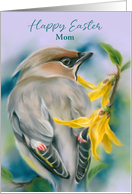 For Mother Easter Cedar Waxwing Bird with Forsythia Custom card