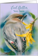 Feel Better Soon Cedar Waxwing Bird with Forsythia Flowers card