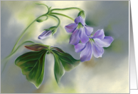Any Occasion Shamrock Flowers Pastel Art Blank card
