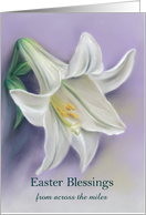 From Across the Miles White Easter Lily on Purple Custom card