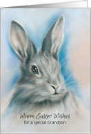 For Grandson Easter Gray Bunny Rabbit Pastel Custom card