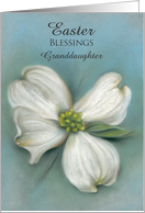 For Granddaughter Easter Blessings White Dogwood Custom card