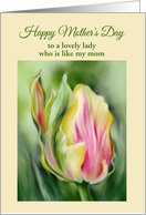 Like a Mom to Me Mothers Day Pretty Tulip Yellow and Pink Custom card