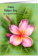 Mothers Day for Like a Mom Frangipani Plumeria Custom card
