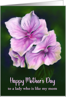 Mothers Day for Like a Mom Pink Hydrangea Flowers Pastel Custom card