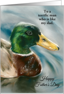 Fathers Day for Like a Dad Mallard Duck on Water Bird Art Custom card