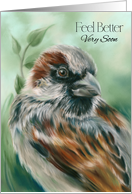 Feel Better Soon Brown Sparrow Bird Art card