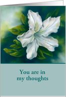Thinking of You White Azalea Flower Blank Inside Custom card