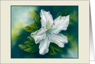 Any Occasion White Azalea Flower Pastel Art Blank card