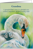 Mothers Day for Grandma Swan and Young One Custom card