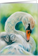 Any Occasion Swan and Young One Pastel Art Blank card