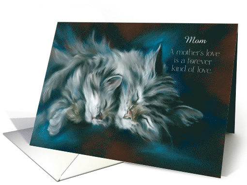 For Mom on Mothers Day Sleeping Cat and Kitten Custom card (1842014)