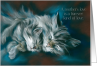 Mothers Day Sleeping Cat and Kitten Art card