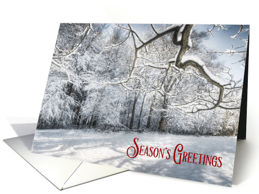 Blue Sky and Deep Snow at Christmas card (1497826)