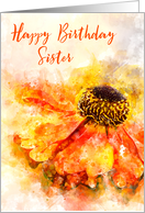 Happy Birthday Sister Helenium Splash card