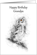 Grandpa Happy Birthday Owl Scribble Art card