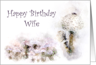 Happy Birthday Wife Mushroom Medley card