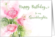 Happy Birthday Our Granddaughter Pink Ranunculus Flowers Watercolor card