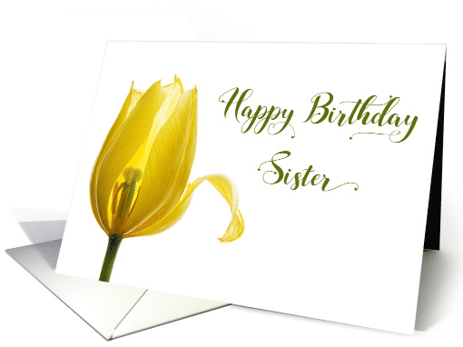 Happy Birthday Sister Yellow Tulip Flower card (1676310)