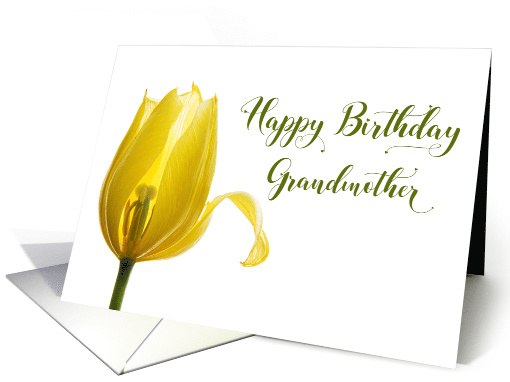 Happy Birthday Grandmother Yellow Tulip Flower card (1676320)
