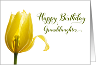 Happy Birthday Granddaughter Yellow Tulip Flower card