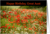 Great Aunt Happy Birthday Poppy Field Summer card