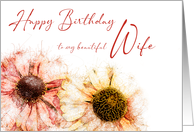 Beautiful Wife Birthday Two Hand Drawn Colored Helenium Flowers card