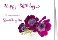 Happy Birthday Granddaughter Three Burgundy Anemone Coronaria Flowers card