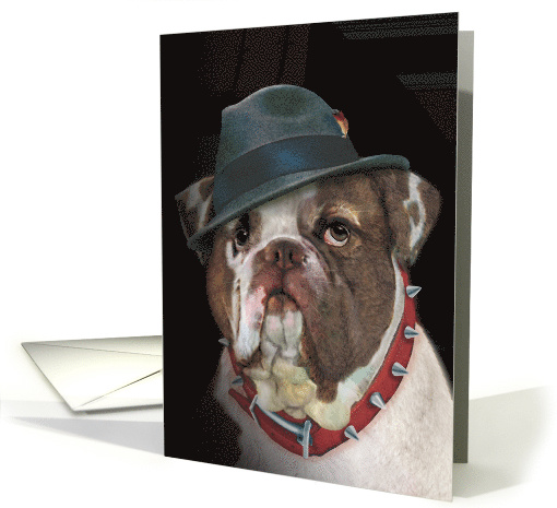 Bulldog with Fedora Hat Blank card (1529352)