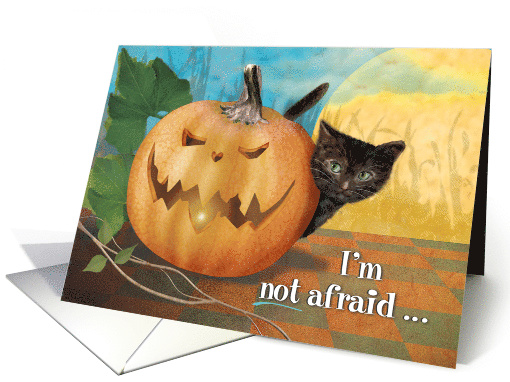 Kitten's Not Afraid of Jack card (1538098)