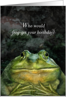 Frog Face Birthday card