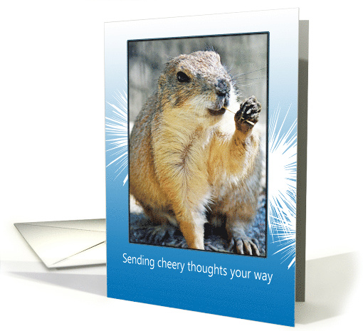 Smiling Prairie Dog Sending Cheery Thoughts Thinking of You card
