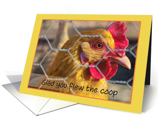Funny Chicken Behind Wire Fence Flew the Coop Get Well card (1515356)