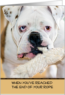 Bulldog with Spotted Ears Biting Rope in Mouth Encouragement card