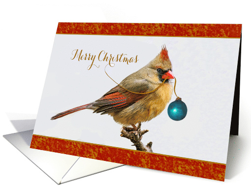 Female Cardinal Bird Perched In Tree Merry Christmas card (1541192)