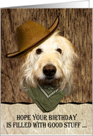 Labradoodle Wearing Cowboy Hat Funny Birthday card
