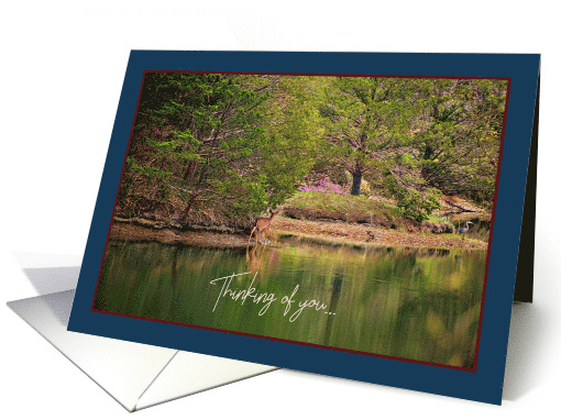 Deer Blue Heron Peaceful Wildlife Scene Thinking Of You card (1689456)
