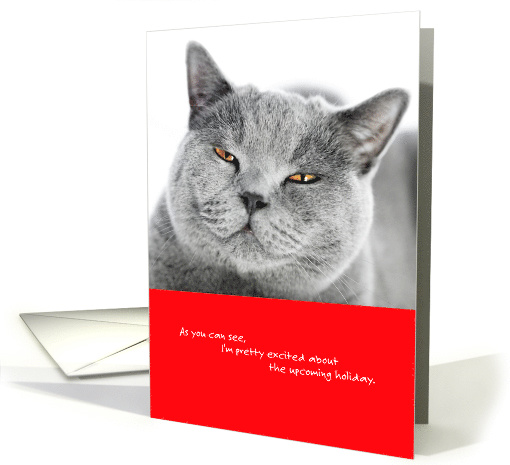 Sarcastic Valentine Pretty Excited Cat card (1512566)