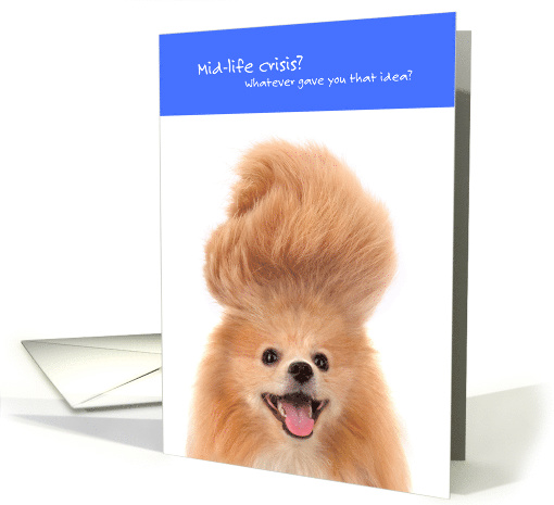 Funny Getting Older Happy Birthday Mid-life Crisis card (1532982)