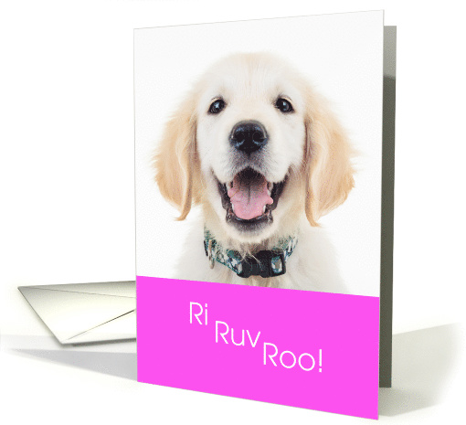 Funny Valentine Dog Ri Ruv Roo I Love You card (1542936)
